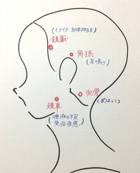 頭のツボ押し効果 側頭部のツボの効能 ヘッドスパ 頭皮ケア 東京 渋谷 新宿 Ritt S リッツ ブログ
