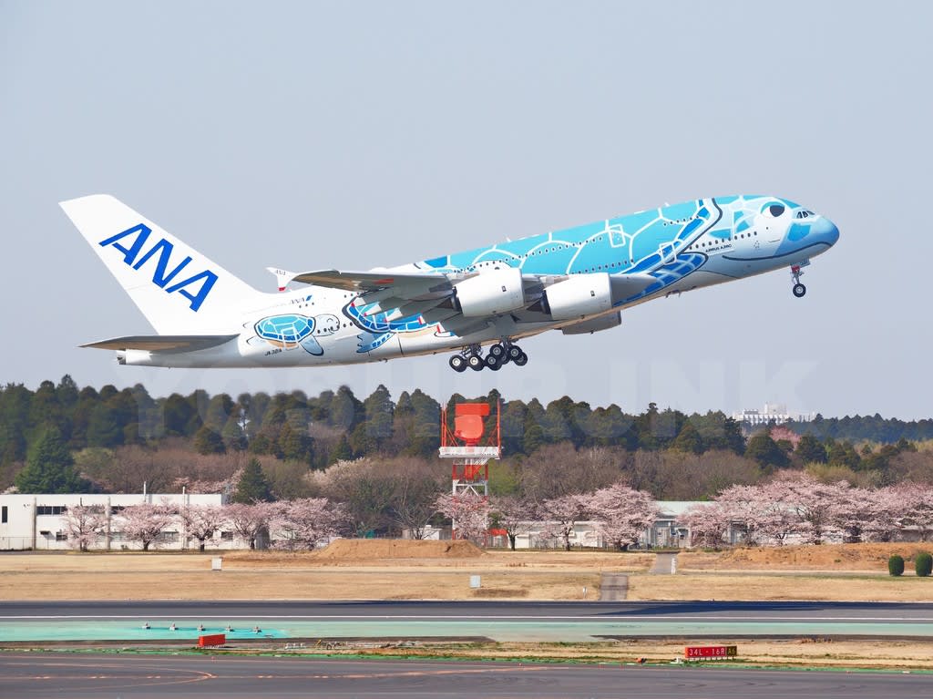 日本の空へテイクオフ ANA A380-800フライングホヌが飛んだ！ - The 