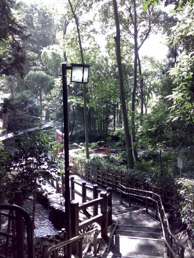 Kokubunji_2101005 Kokubunji_2101005