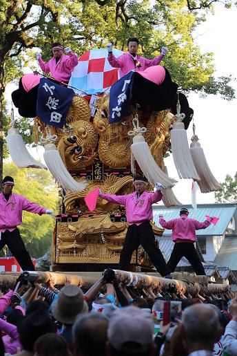 新居浜太鼓祭り 15 小太郎のまんぷく日記