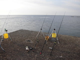 第8回奥尻島春の釣りフェスティバル結果 サンフィッシャーの会 活動ブログ