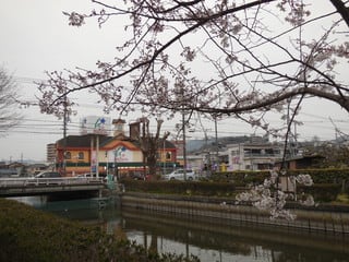 蓮池公園