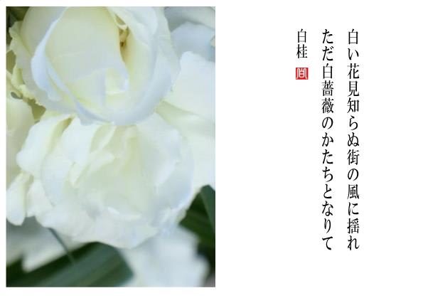 詩謡集 白薔薇の花 福井水明著 有恒社 昭和47年発行 福井水明詩謡集