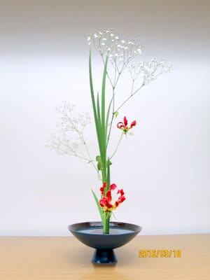 グロリオーサの赤 カスミソウの白 すっきり自由花 池坊 花のあけちゃんブログ明田眞子 花の力は素晴らしい 広島で45年 池坊いけばな教室 熱心な方々と楽しく生けてます グロリオーサの赤 カスミソウの白 すっきり自由花 池坊 花のあけちゃんブログ明田眞子 花の力は素晴らしい 広島で45年 池坊いけばな教室 熱心な方々と楽しく生けてます