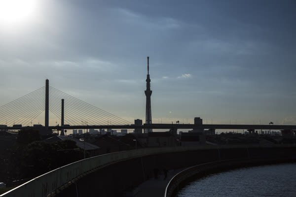 東京スカイツリーと葛飾ハープ橋 写カットライフ 東京スカイツリーと葛飾ハープ橋 写カットライフ