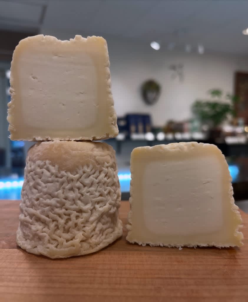 シャビシュー ドゥ ポワトゥー