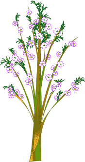あすなろの心境で Yosigamo Sakura の いけ花ガーデニング 緑 風 陽 と 花イラスト