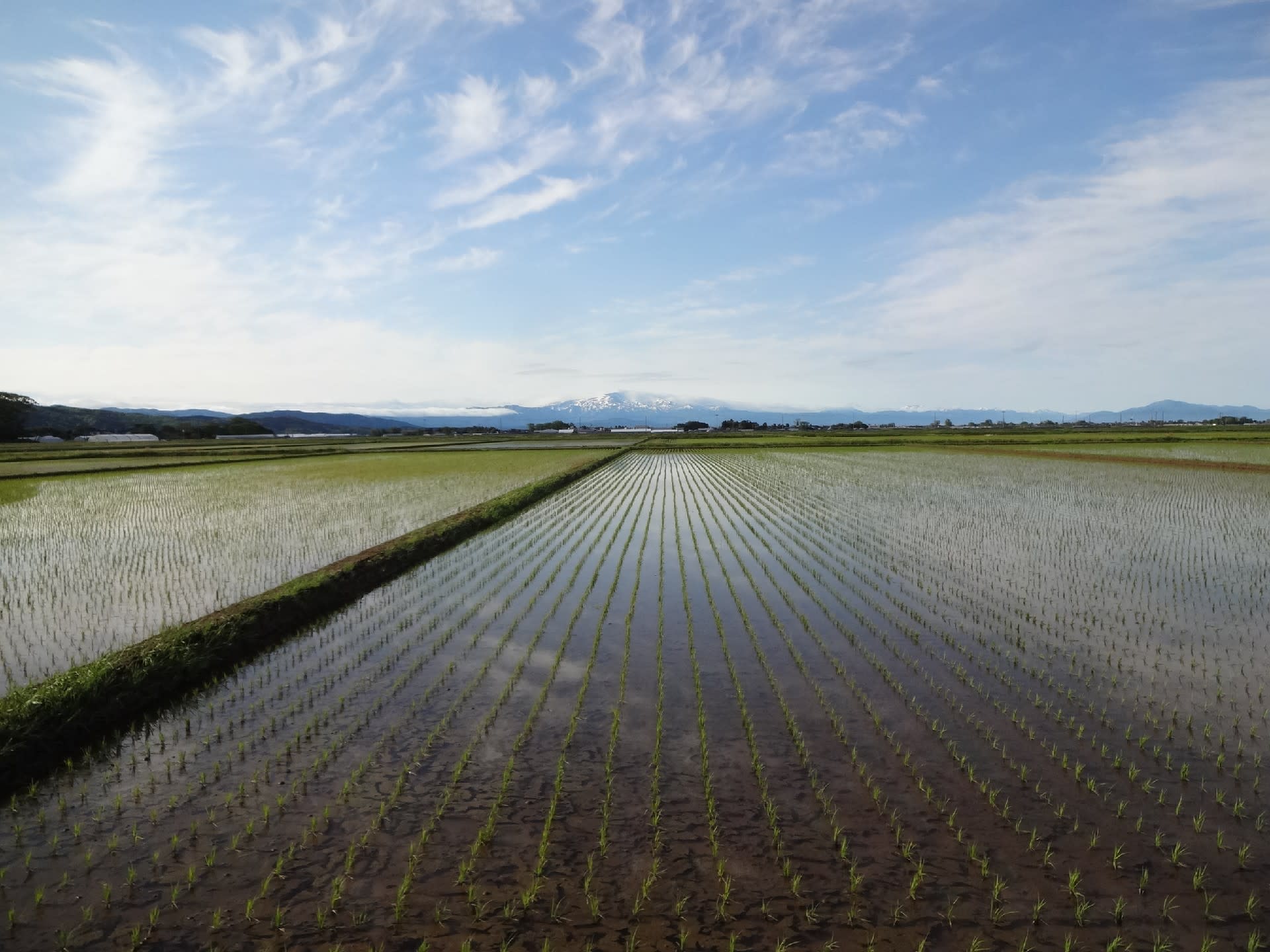 日本の農業が危ない