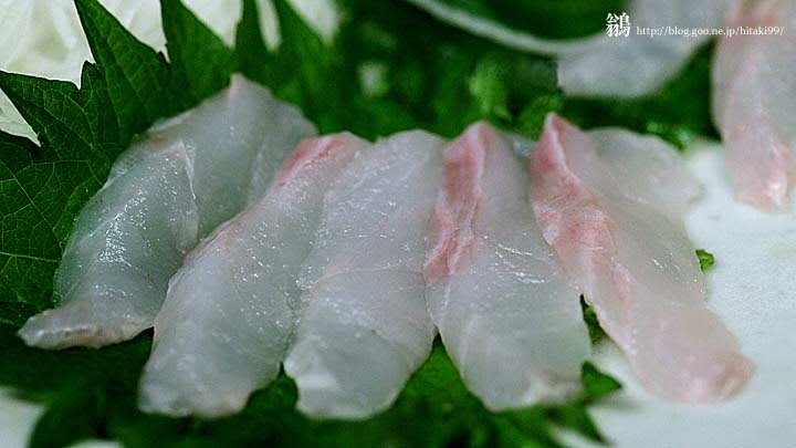 メバルのお刺身 鏡面界 魚食系女子の気まぐれ雑記帖