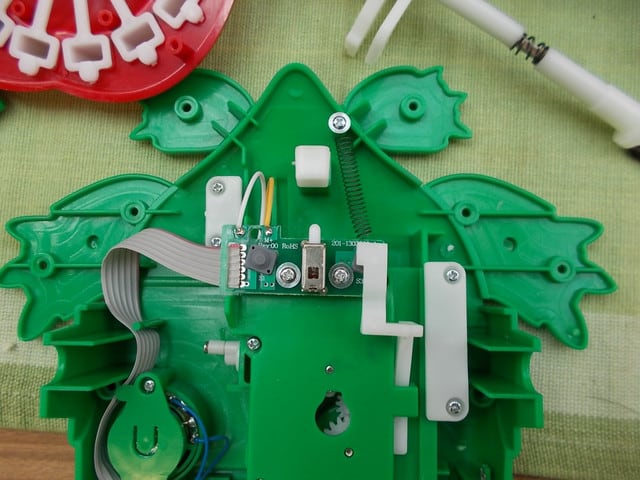 イタイワニー MAX