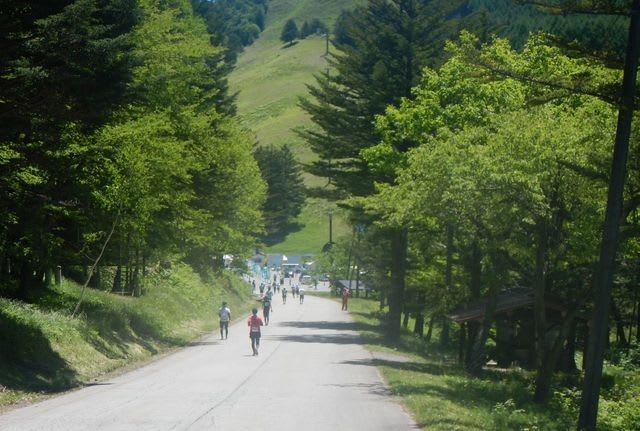 2017-06FU-0269.jpg