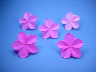 折り紙の桜 さくら サクラ 創作折り紙の折り方
