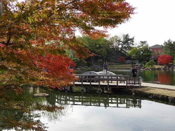 徳川園の紅葉 藤の気まぐれ写真 徳川園の紅葉 藤の気まぐれ写真