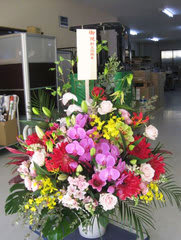 東大阪市 創立周年祝いのお祝い花 開店祝い 公演祝いの御祝スタンド花 胡蝶蘭 全国へ花をお届け 花屋 花助のブログ