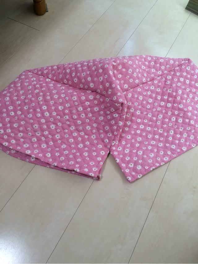 ハンモックがこたつ布団に変身 あんずと小麦