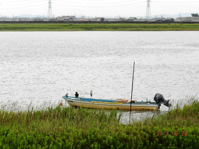 雨に降られての画像