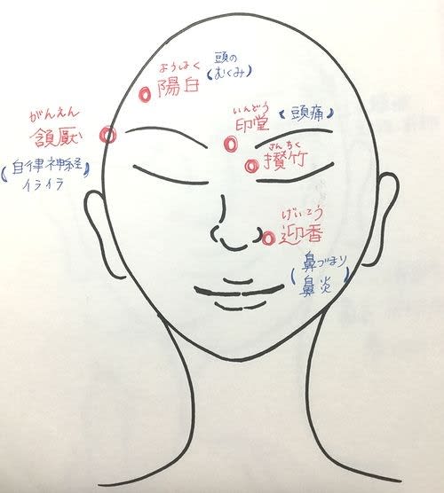 頭のツボ押し効果 顔周りのツボの効能 ヘッドスパ 頭皮ケア 東京 渋谷 新宿 Ritt S リッツ ブログ