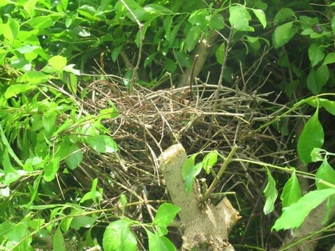宮古島のゆったり生活