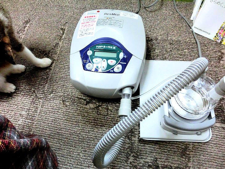 点検日は、突然やって来るニャ～ン～♪ 別冊・雲になろう