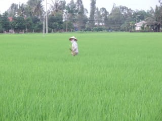 ベトナムの田舎 ダウン症のムスメと母のマイペースな日常