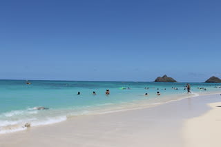 ひじりとラッコの親子英語道 in Hawaii ひじりとラッコの親子英語道 in Hawaii