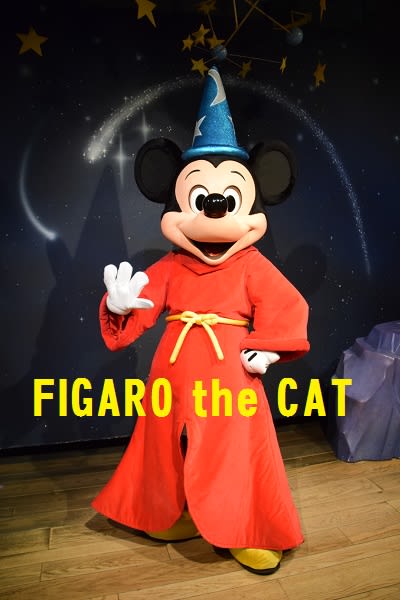 トレイルのミッキーは神なのっ ミラクルその１ 七夕デイズ ２０１５ Figaro The Cat