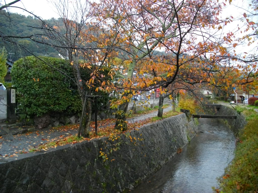 哲学の道 紅葉散歩 京都市 まめまみなブログ 哲学の道 紅葉散歩 京都市 まめまみなブログ
