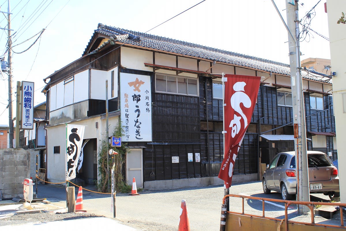 女郎うなぎ? クリックで大きくなります。