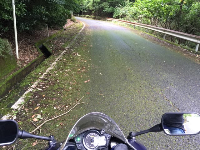 イメージ 9