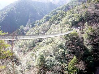 梅の木轟公園吊橋 道草