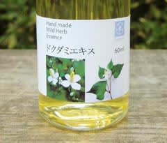 ドクダミエキス できました 野草研究室の日々