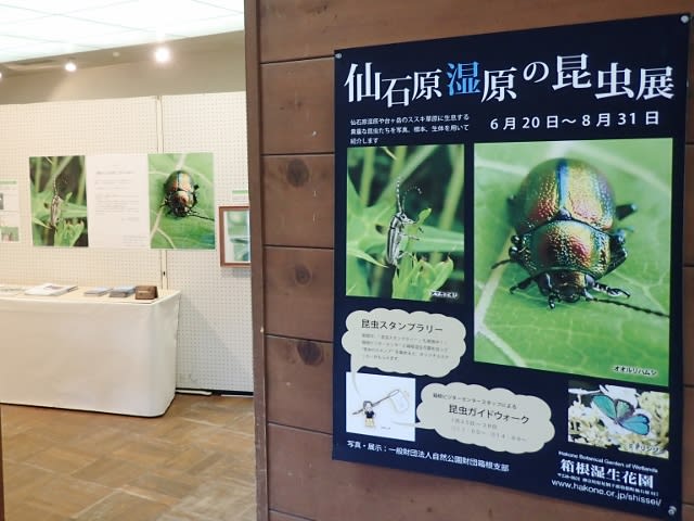 ガラスの森美術館 箱根湿生花園へ Blue Leaf Life