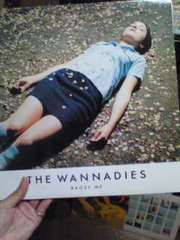 ワナダイズが解散してたとは Sometimes Always