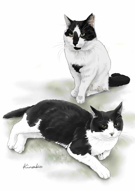 元の猫 白黒 イラスト 花の画像