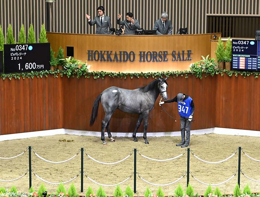 234ff97163ee1cd05b18873b4e0b92