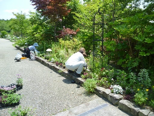 6月２４日 自由活動 花ボランティアの皆さんと花壇