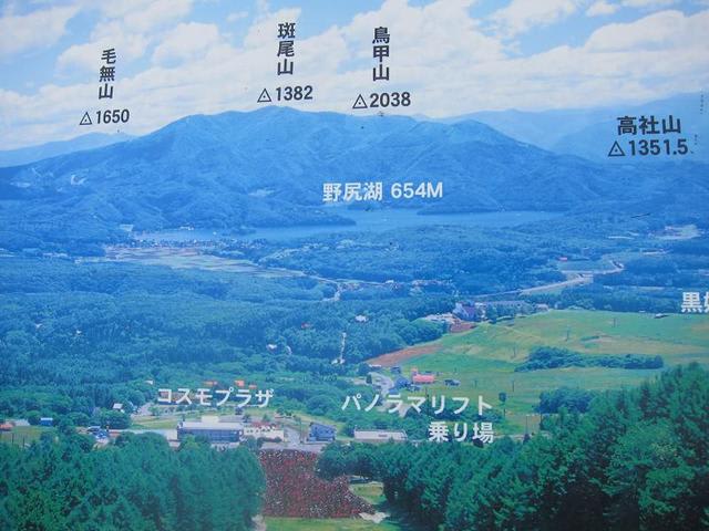 イメージ 10