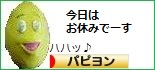 にほんブログ村 犬ブログ パピヨンへ