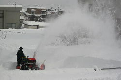 ★写真タイトルを入力します