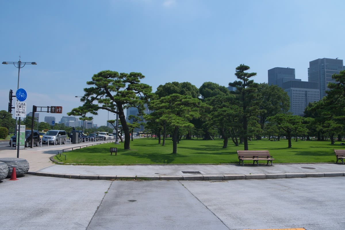 夏日の皇居前広場 黒松の木々と新緑の芝生広場を散策する ｐａｒｔ１ 緑には 東京しかない