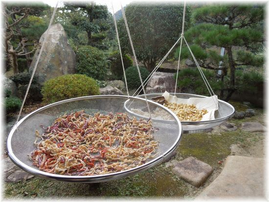 干し野菜 2014年11月19日