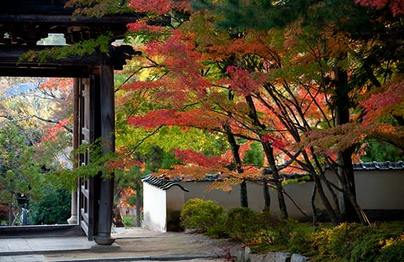 宝福寺の紅葉 旅するデジカメ 我が人生 宝福寺の紅葉 旅するデジカメ 我が人生