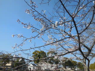 公園D