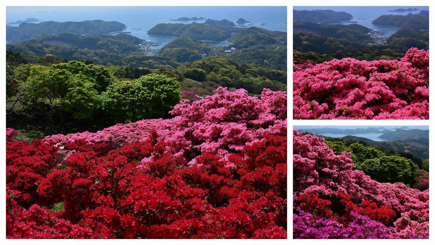 19年4月 長串山つつじ公園から たずさんのブログ 19年4月 長串山つつじ公園から たずさんのブログ