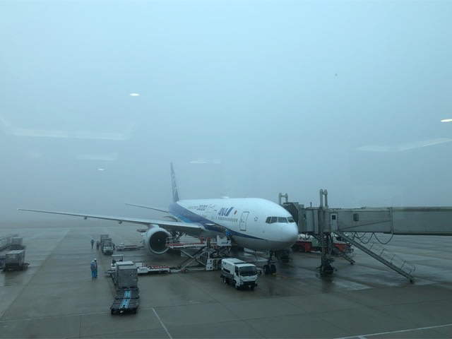霧の広島空港 はたして飛行機は飛ぶのでしょうか 羽田空港のクリスマスツリー 能率技師のメモ帳 中小企業診断士 社会保険労務士のワクワク広島ライフ