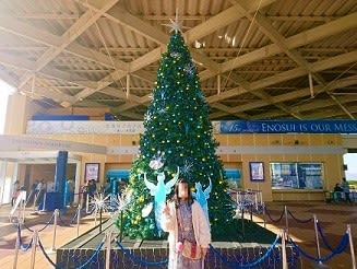 新江ノ島水族館 ヒカリノエノスイ 美しい水族館 青い花