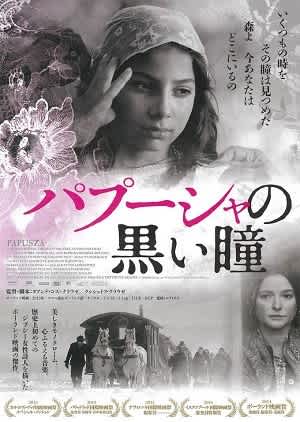 オレンジと太陽 パプーシャの黒い瞳 岩波ホール 田中雄二の 映画の王様