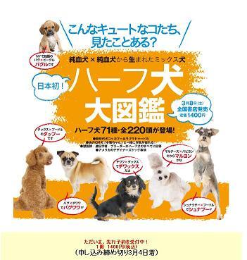 いよいよ発売 たぁと麦 毎日まったり いよいよ発売 たぁと麦 毎日まったり