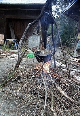棘ありのグミを焚き木に 山里の道草に生きるたそがれ日記
