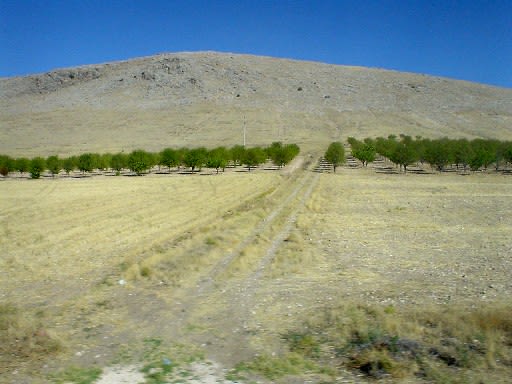 Steppe Nice Shot Steppe Nice Shot
